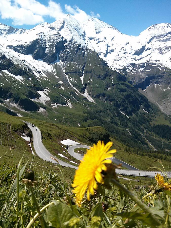 Bed and Breakfast Ridehouse Schladming Exterior foto